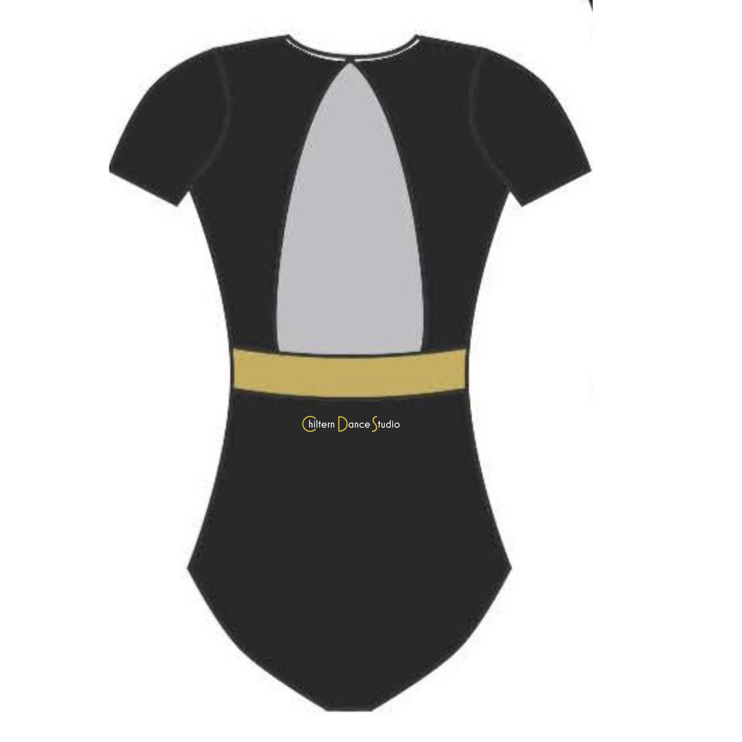 Chiltern Short Sleeve Leotard11