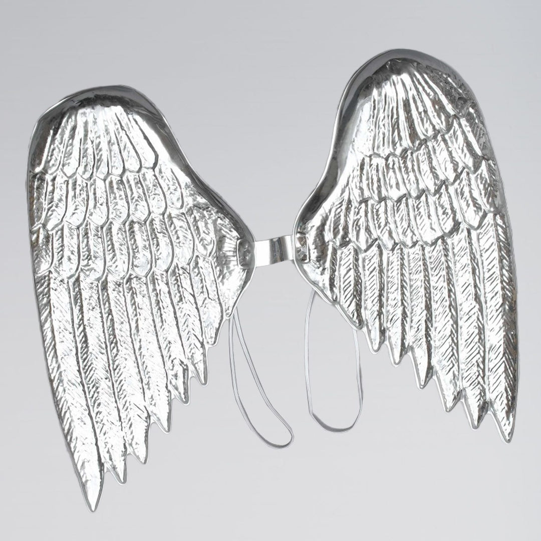 Angel Fairy Wings Plastic